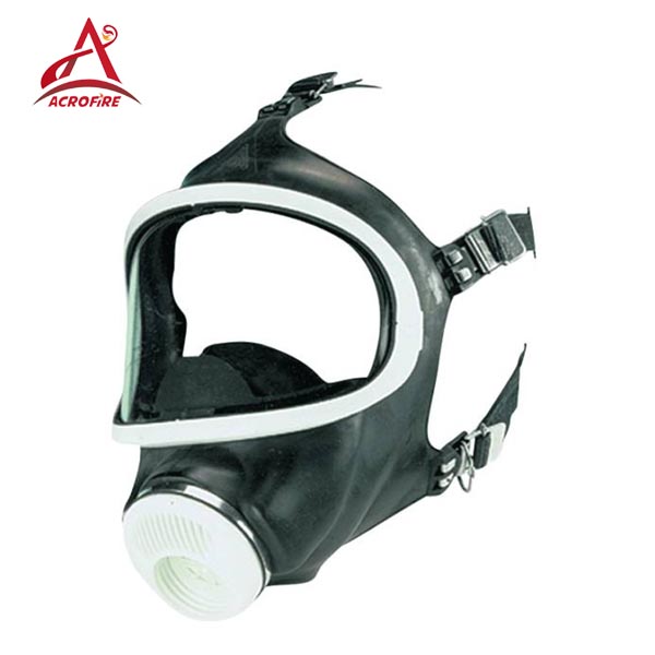 3S Basic Plus Full Face Mask